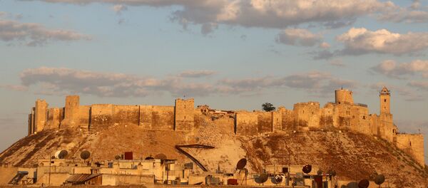 Alep - Sputnik Afrique