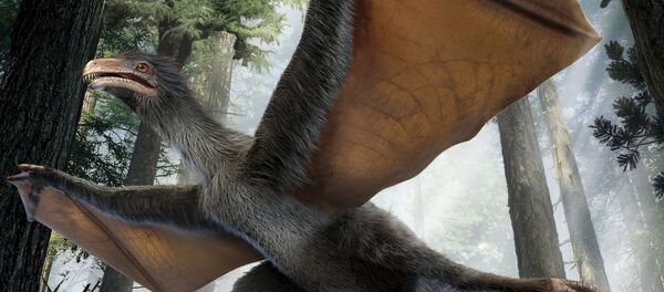 Un dinosaure volant Un dinosaure volant - Sputnik Afrique