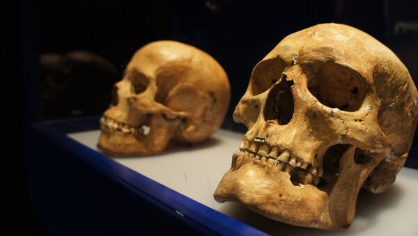 Des archéologues ont découvert un autre crâne d'extraterrestre - Sputnik Afrique