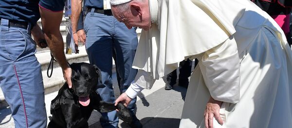 Pope Francis takes the paw of Leo, the Labrador which pinpointed a four-year-child who had survived in a pile of quake rubble, in St. Peter's Square at the Vatican Saturday, Sept. 3, 2016. - Sputnik Afrique