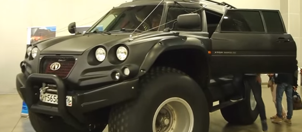 Viking 29031 - Sputnik Afrique