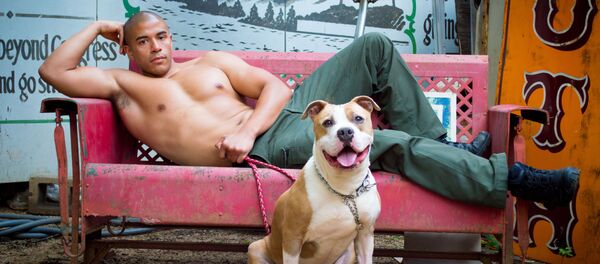 Ces Texans bodybuildés qui sauvent les vies des chiens errants - Sputnik Afrique