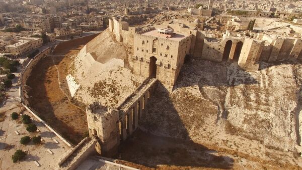 citadelle d'Alep - Sputnik Afrique