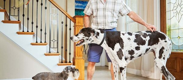 Lizzy - Sputnik Afrique