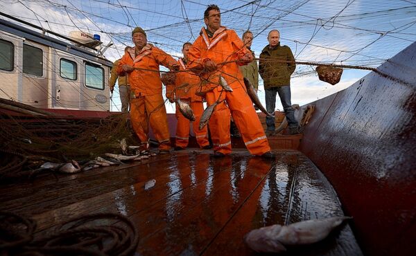 Voyage dans la région de Novgorod - Sputnik Afrique