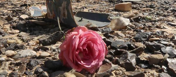 Am Absturzort der russischen A321 auf der Sinai-Halbinsel - Sputnik Afrique