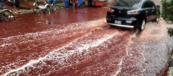 Les rivières pourpres de Dacca - Sputnik Afrique