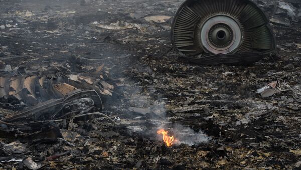 Le lieu du crash du Boeing malaisien dans le Donbass - Sputnik Afrique
