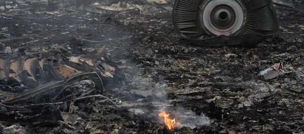 Le lieu du crash du Boeing malaisien dans le Donbass - Sputnik Afrique