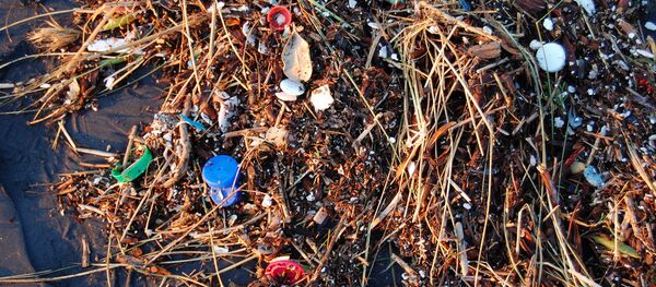 Déchets plastiques - Sputnik Afrique