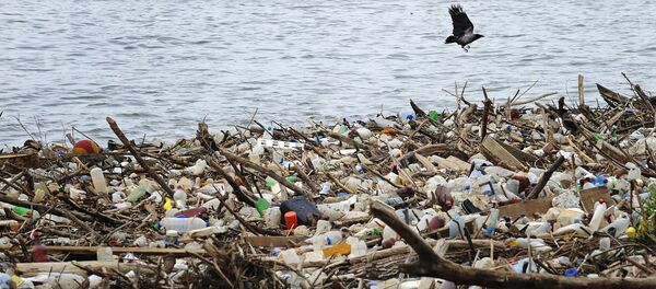 A l'horizon 2050, le plastique supplantera le poisson dans l'océan - Sputnik Afrique