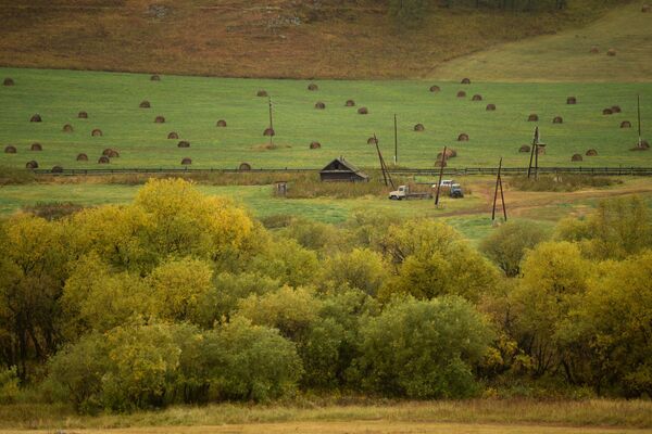 L’automne doré dans l’Altaï - Sputnik Afrique