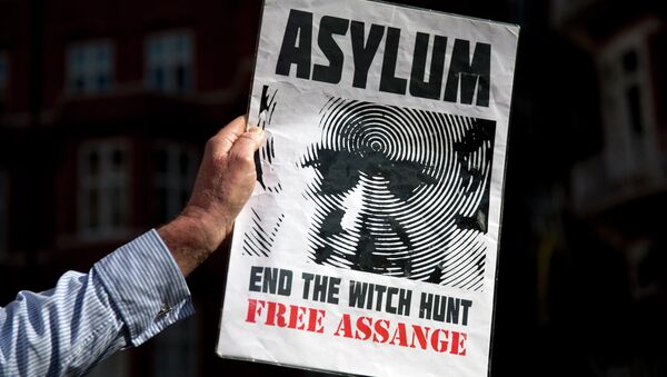 Le fondateur de WikiLeaks Julian Assange - Sputnik Afrique