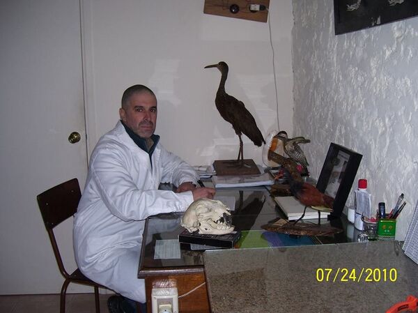 Gerardo Cantou dans son bureau - Sputnik Afrique