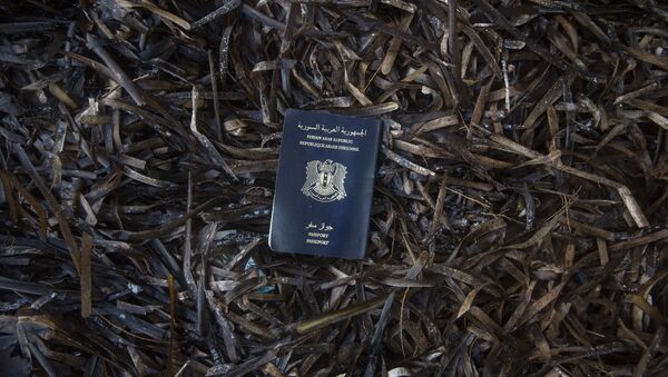 Passeport syrien - Sputnik Afrique