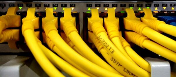 Câbles réseau (image d'illustration) - Sputnik Afrique
