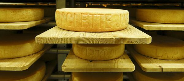 Fromage - Sputnik Afrique