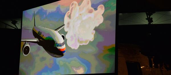 Доклад Совета безопасности Нидерландов по причинам крушения Boeing 777 - Sputnik Afrique