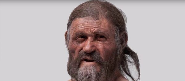 L’homme des glaces Ötzi a parlé ! L’homme des glaces Ötzi a parlé ! - Sputnik Afrique