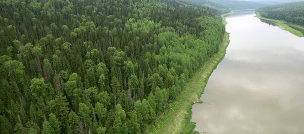 Le territoire russe de Krasnoïarsk - Sputnik Afrique