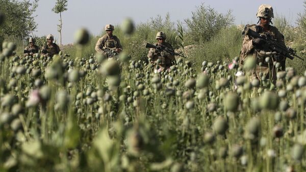 Des fusiliers marins US traversent un champ de pavot en Afghanistan - Sputnik Afrique