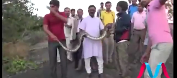 Il ne faut pas faire de selfies avec des serpents - Sputnik Afrique