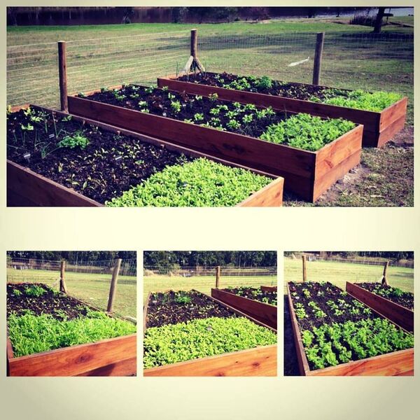 Potagers en Uruguay - Sputnik Afrique