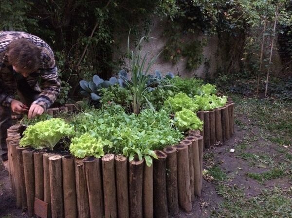 Potagers en Uruguay - Sputnik Afrique