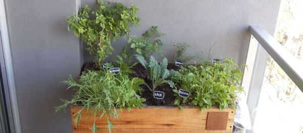 Potagers en Uruguay - Sputnik Afrique