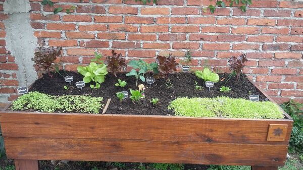 Potagers en Uruguay - Sputnik Afrique