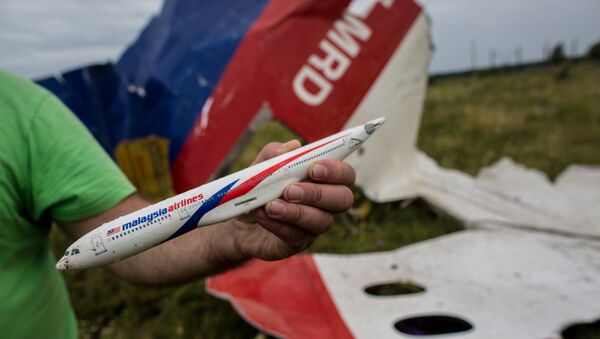 crash du MH17 - Sputnik Afrique