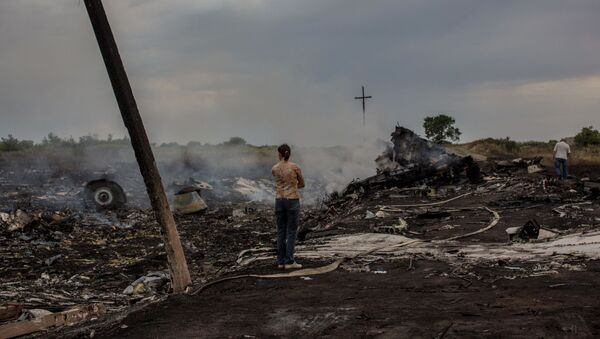 MH17 Malaysian Airlines Boeing crash in Ukraine - Sputnik Afrique