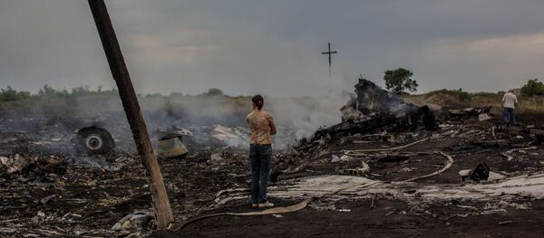 MH17 Malaysian Airlines Boeing crash in Ukraine - Sputnik Afrique