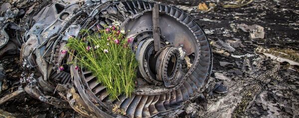 Moscou sur l’enquête du crash du MH17: «Personne ne sollicite notre aide» - Sputnik Afrique