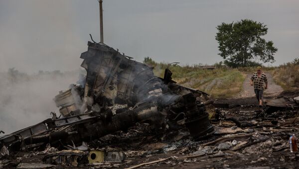 Crash d'un Boeing malaisien en Ukraine - Sputnik Afrique