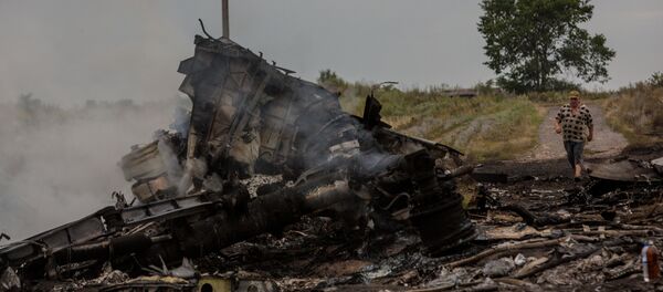 Crash d'un Boeing malaisien en Ukraine - Sputnik Afrique