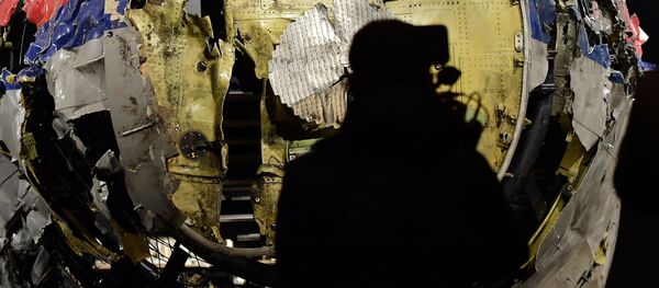 MH17 - Sputnik Afrique
