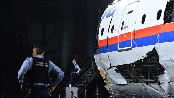 L'enquête sur le crash du Boeing 777 - Sputnik Afrique