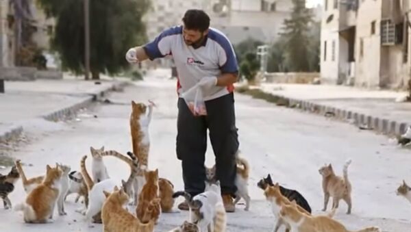 Mohammad Alaa Jaleel et les chats - Sputnik Afrique