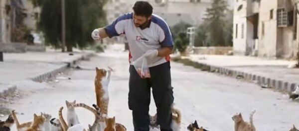 Mohammad Alaa Jaleel et les chats - Sputnik Afrique