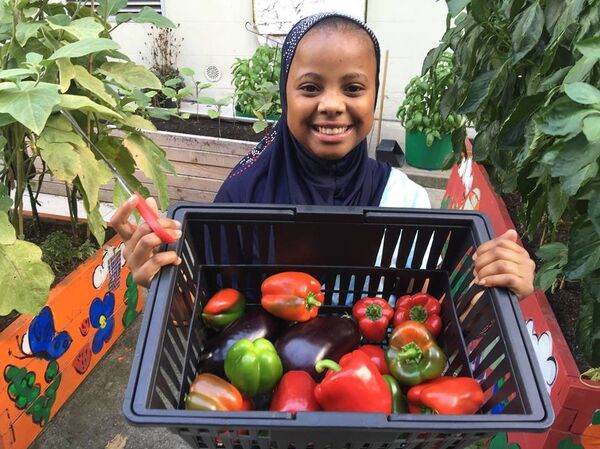 Green Bronx Machine - Sputnik Afrique