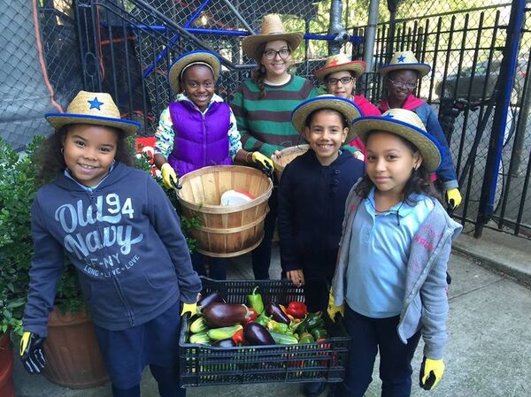 Green Bronx Machine - Sputnik Afrique