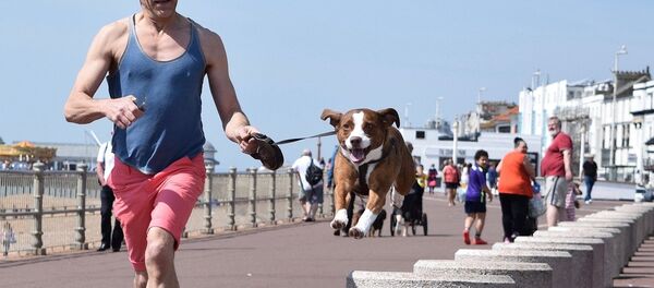 Mode de vie sain. Image d'illustration - Sputnik Afrique