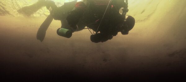 Plongeur - Sputnik Afrique