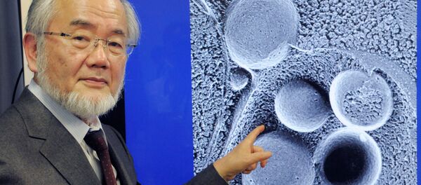 Yoshinori Ohsumi - Sputnik Afrique