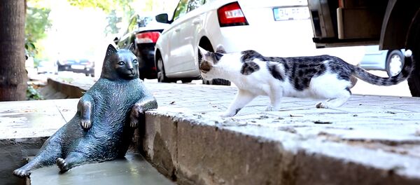 La statue du chat Tombili à Istanbul - Sputnik Afrique