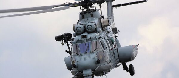 Caracal - Sputnik Afrique