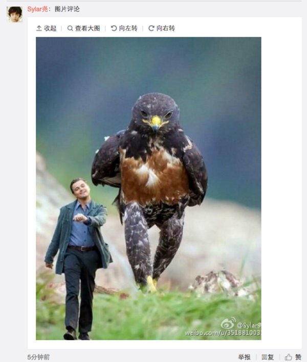 Image publiée dans les commentaires sur le compte de DiCaprio sur Weibo - Sputnik Afrique