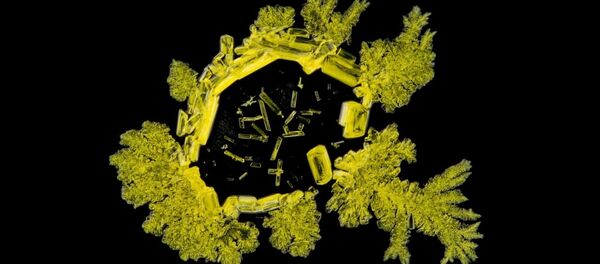 La formation des cristaux en time-lapse - Sputnik Afrique