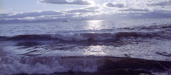 Océan - Sputnik Afrique